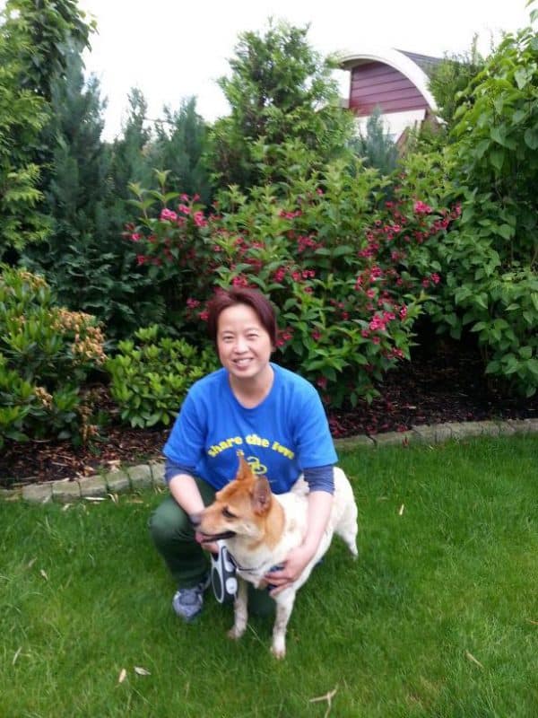 Brownie’s new home in Germany