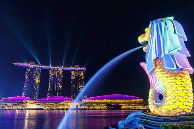 dog cat singapore