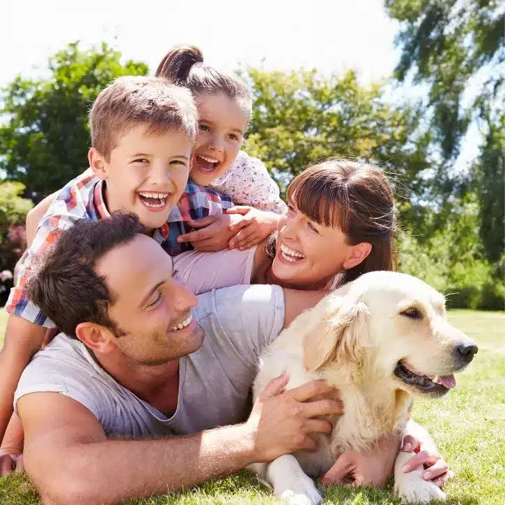 Ferndale’s Comprehensive Pet Relocation Services for Macau