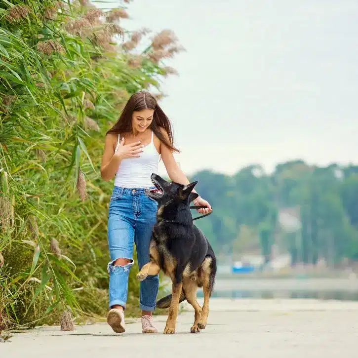 Parks and Recreational Spaces for Dog Walking