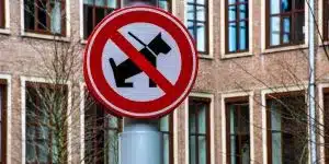 breed-restrictions-in-portugal