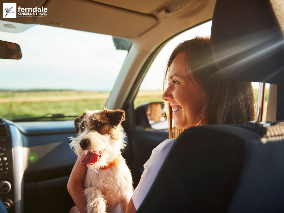 Pet Transportation and Relocation Services